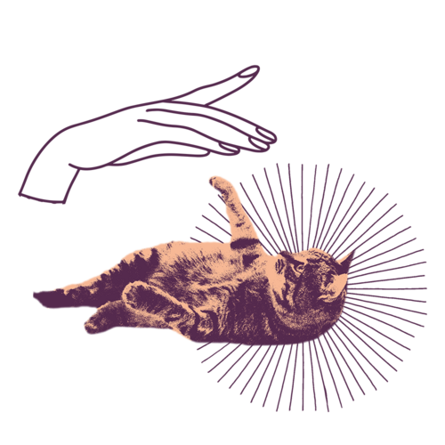 Spend time with a pet